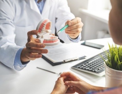 Dentist showing a model of the mouth to a patient